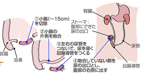 わたなべクリニック 鳥取県鳥取市 の院長雑記です